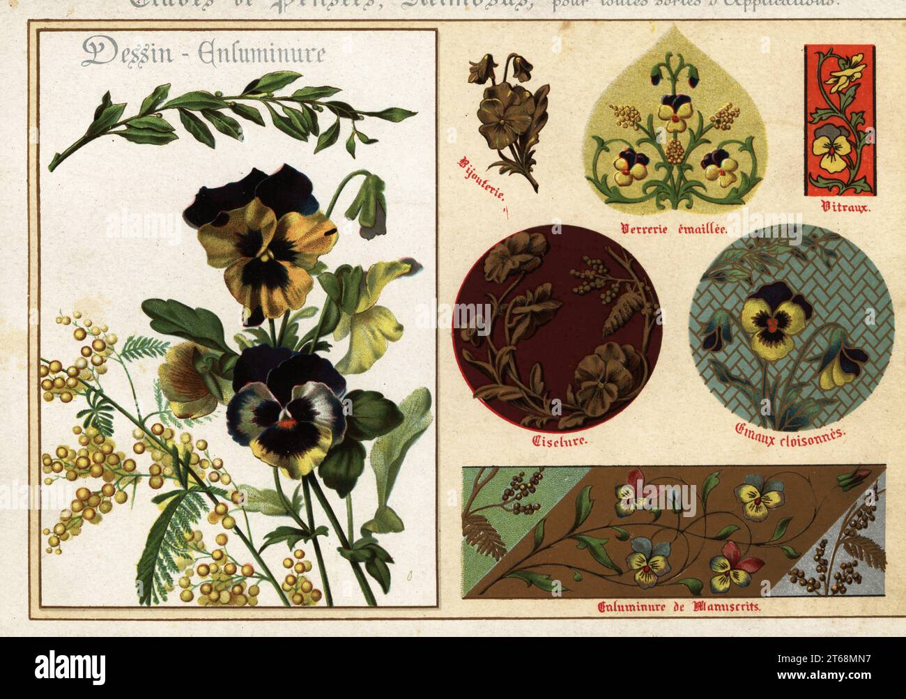 Images of pansies and mimosa from manuscripts and their applications in jewelry, enameled glassware, ciselure, cloissone enamel, stained glass. Chromolithograph designed and lithographed by Ernst Guillot from his Flowers After Nature and Ornamental Flowers, Fleurs d`apres Nature et fleurs ornementales, Paris, 1890. Stock Photo